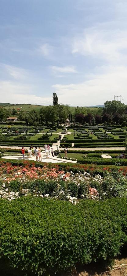 Pensiunea Sura Orăştie Buitenkant foto