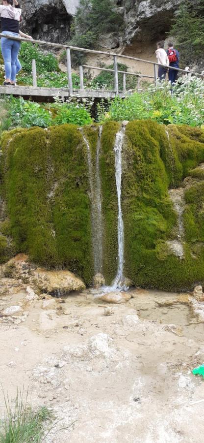 Pensiunea Sura Orăştie Buitenkant foto